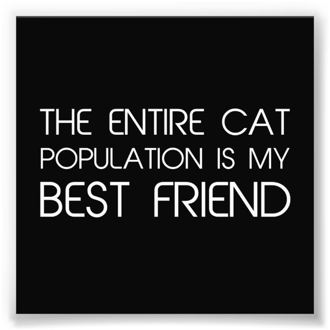 Foto Toda A População De Gatos É Minha Melhor Amiga (Frente)