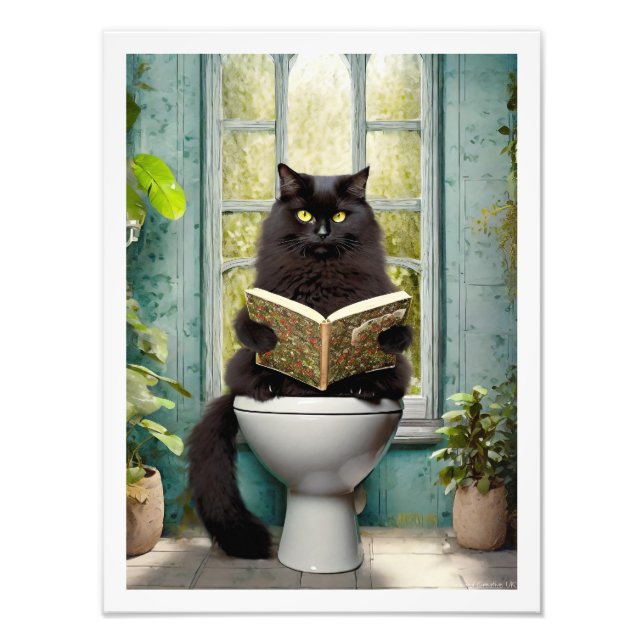 Foto Toilet de Gato Negro (Frente)