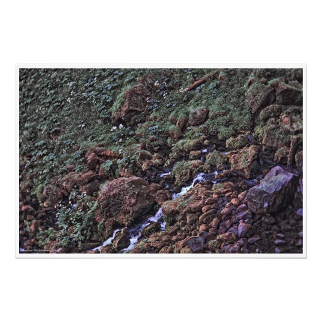 Foto ToneTerra (Frente)