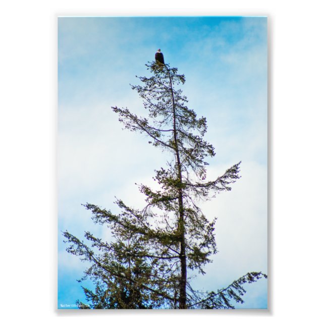 Foto Torre de monitoração (Frente)