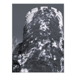 Foto Torre Escura