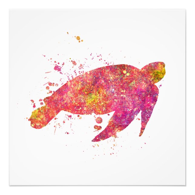 Foto Tortue de Mer Ocean Mer Vie Marine Nature Monde Te (Frente)