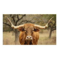 Touro Texas Longhorn