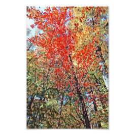 Foto Trabalho de arte das Árvores do outono