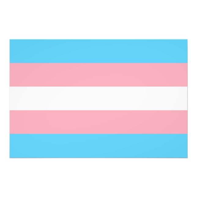 Foto transgender flag trans lgbt lgbtq gay lésbian homo (Frente)