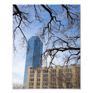 Foto Tree and Tall Building, Dallas, Texas