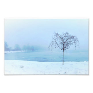 Foto Tree by a Frozen Lake
