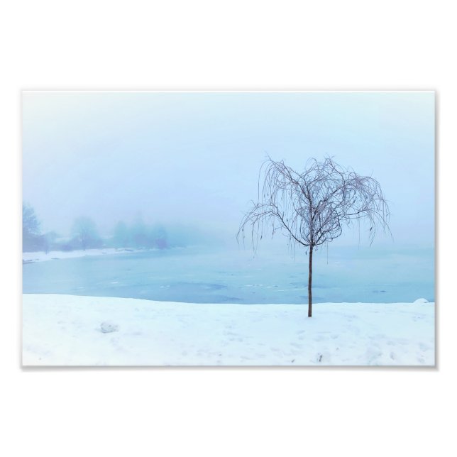 Foto Tree by a Frozen Lake (Frente)