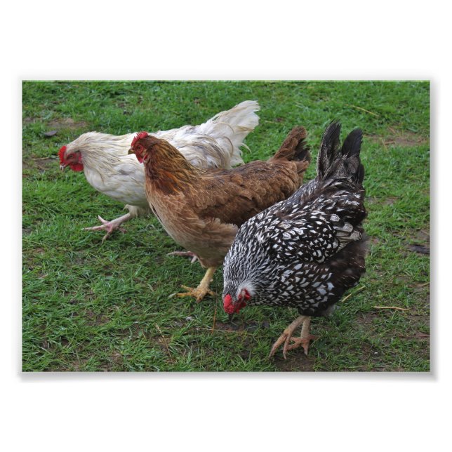 Foto Três Amigos (Frente)