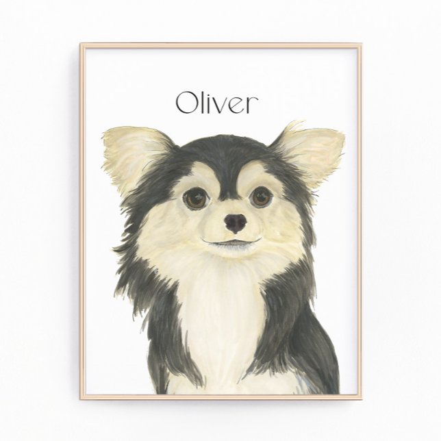 Foto Tricolor personalizado Chihuahua de longa distânci (Criador carregado)