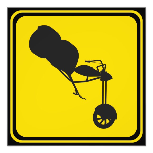 Foto Trike Xing! (Frente)