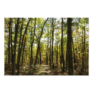 Foto Trilha Appalachian em outubro em Shenandoah