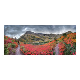 Foto Trilha de Passagem Swiftcurrent - Parque Nacional