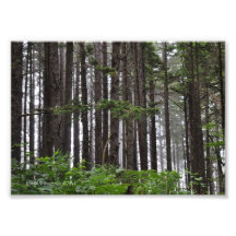 Trilha de praia do segundo La Push 5X7