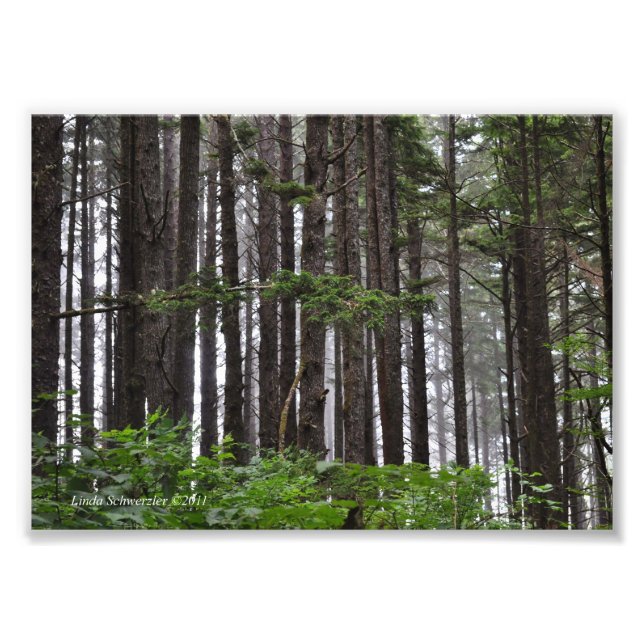 Foto Trilha de praia do segundo La Push 5X7 (Frente)