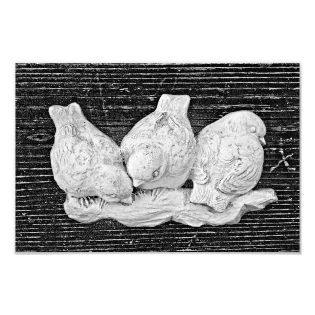 Foto Trio de Ave (Frente)