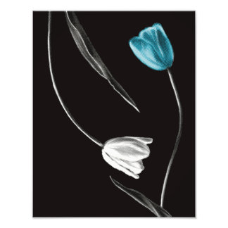 Foto Tulipa Minimalista Flor