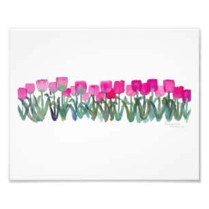 Foto Tulipas cor-de-rosa primavera 8 x 10 Impressão de