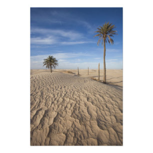 Foto Tunísia, Deserto do Saara, Douz, Grande Duna, aman