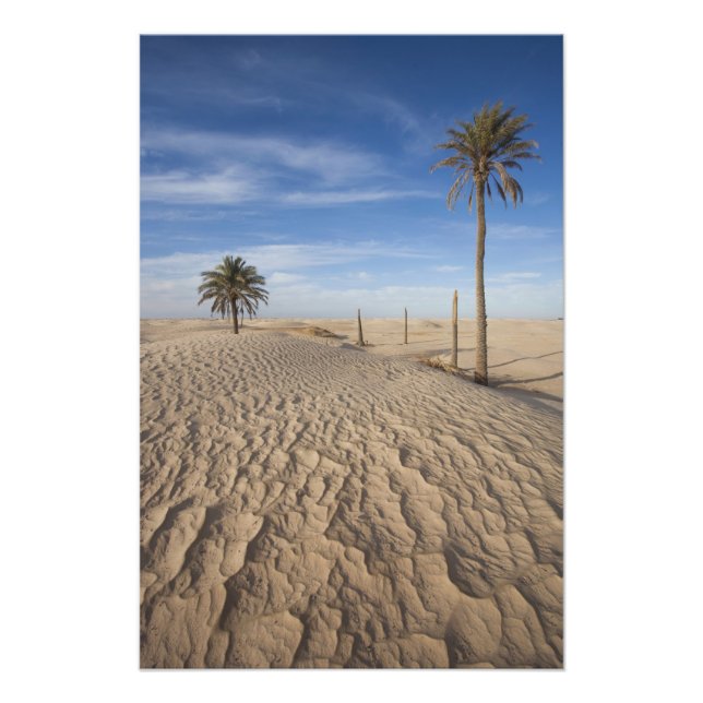 Foto Tunísia, Deserto do Saara, Douz, Grande Duna, aman (Frente)