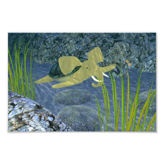 Foto Turfão de Nadação (Frente)