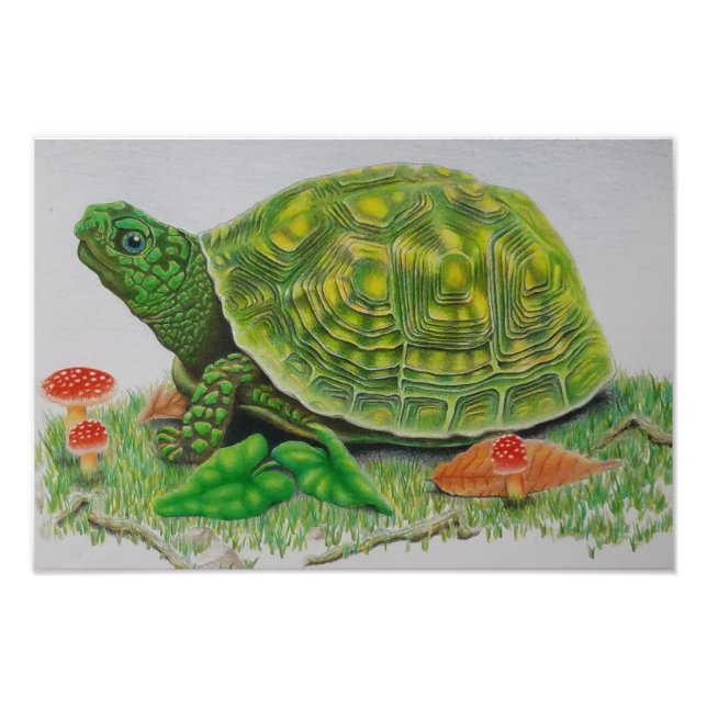 Foto "Turtle Love", poster original de Baylen Parada (b (Frente)