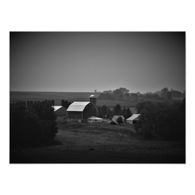 Foto "Um Campo de Campo" (Frente)