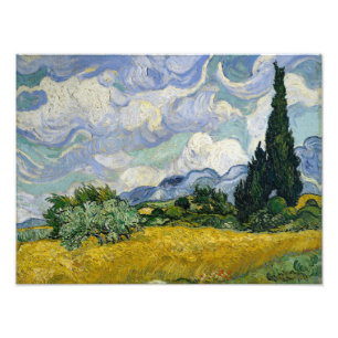 Foto Um campo de rodas com Cypress Van Gogh