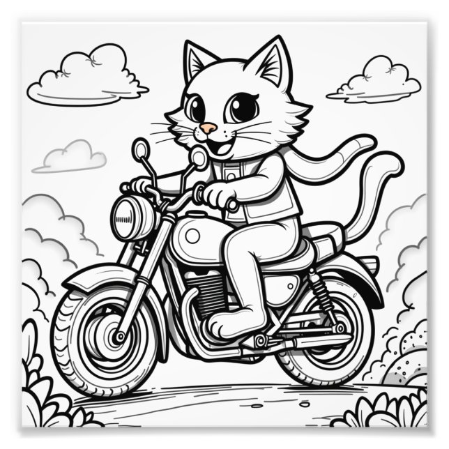 Foto um gato andando de moto (Frente)