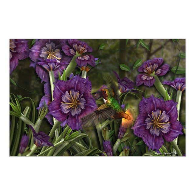 Foto Um Humm Entre As Flores (Frente)