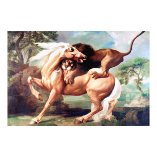 Foto Um Leão Atacando Uma Pintura De Cavalo-17620
