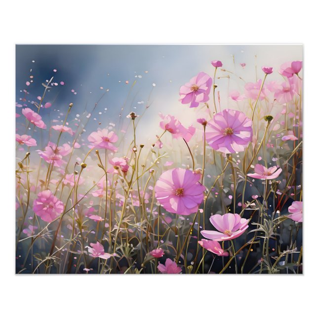 Foto Um mar de Cosmos Rosa (Frente)