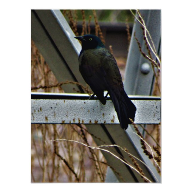 Foto "Um Mensageiro da Esperança" (Frente)