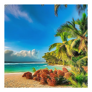 Foto Um paraíso tropical.