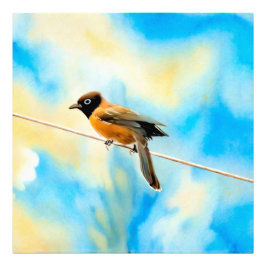 Foto Um pássaro solitário colorido