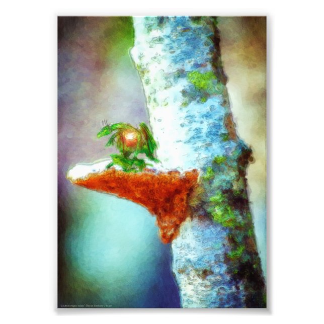 Foto Um Pequeno Dragão Dorme (Frente)