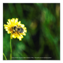 Foto Um ponto de amarelo