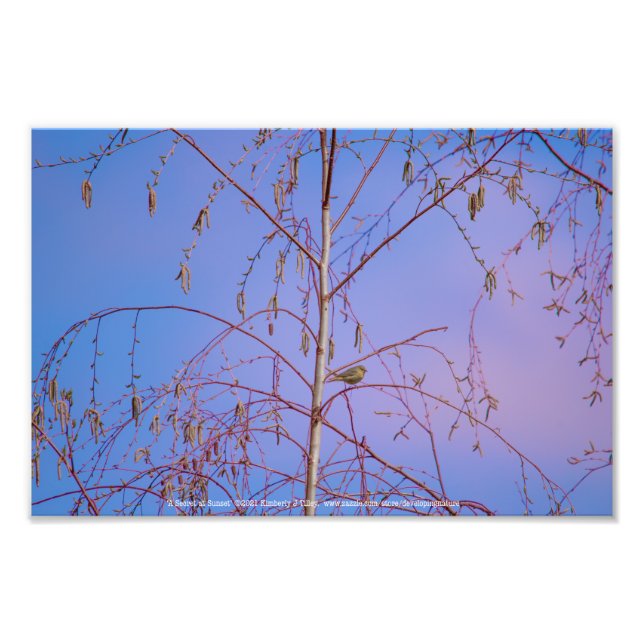 Foto Um Segredo ao Sunset (Frente)