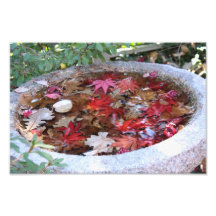 Um serviço do outono