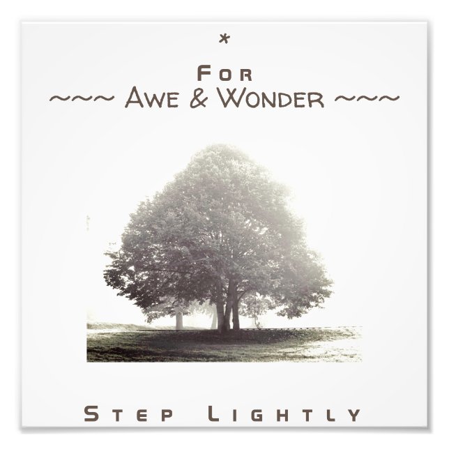 Foto Uma Árvore em Poster de Nevoeiro com qualquer text (Frente)