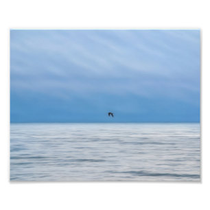 Foto Uma Ave Sozinha Sobre o Mar Nebuloso Fotográfico