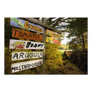 Foto Uma barraca de fazenda em Holderness, New Hampshir