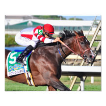 Uma canção perfeita