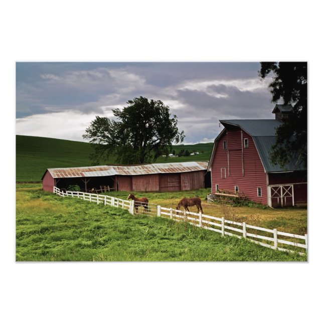 Foto Uma carona através da fazenda de Palouse 4 (Frente)