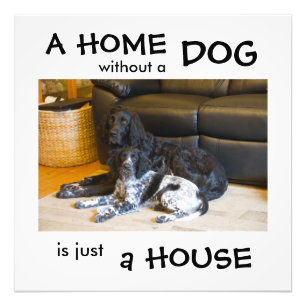 Foto Uma casa sem cachorro é apenas uma casa - arte de
