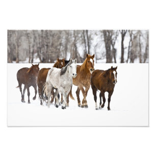 Foto Uma cena de inverno de corrida