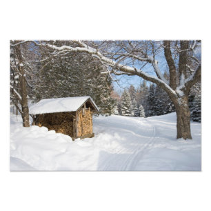 Foto Uma cena nevada no Little Lyford Pond da AMC