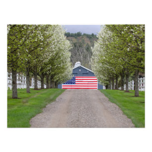 Foto Uma Fazenda americana