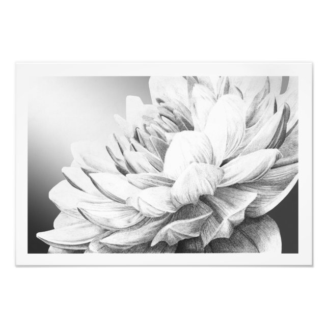 Foto Uma rajada de Primavera (com borda) (Frente)