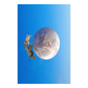 Foto Uma vaca e um elefante pularam sobre a lua